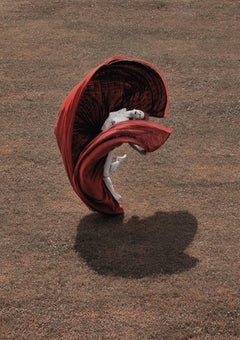 The Heart - Desert Flower