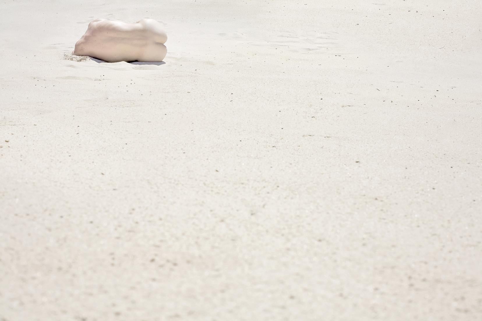 La graine / Fleur du désert