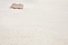 The Seed / Desert Flower