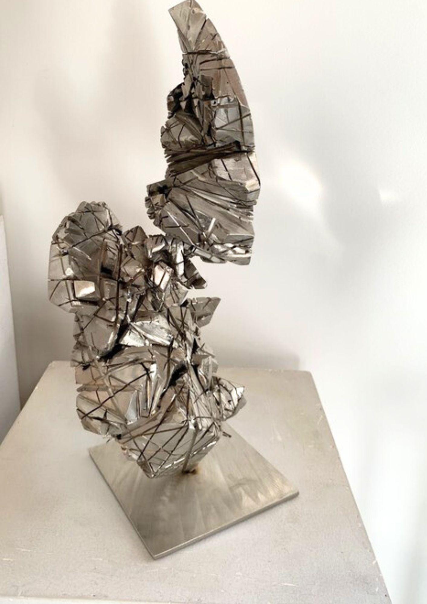 Die Skulptur Spyrite 8 ist ein Kunstwerk aus Edelstahl, das das Konzept der Feuerexplosion und der Fusionsenergie verkörpert. Die harmonischen Linien und Formen der Skulptur erinnern an die Ästhetik des eisenhaltigen Minerals und bieten eine
