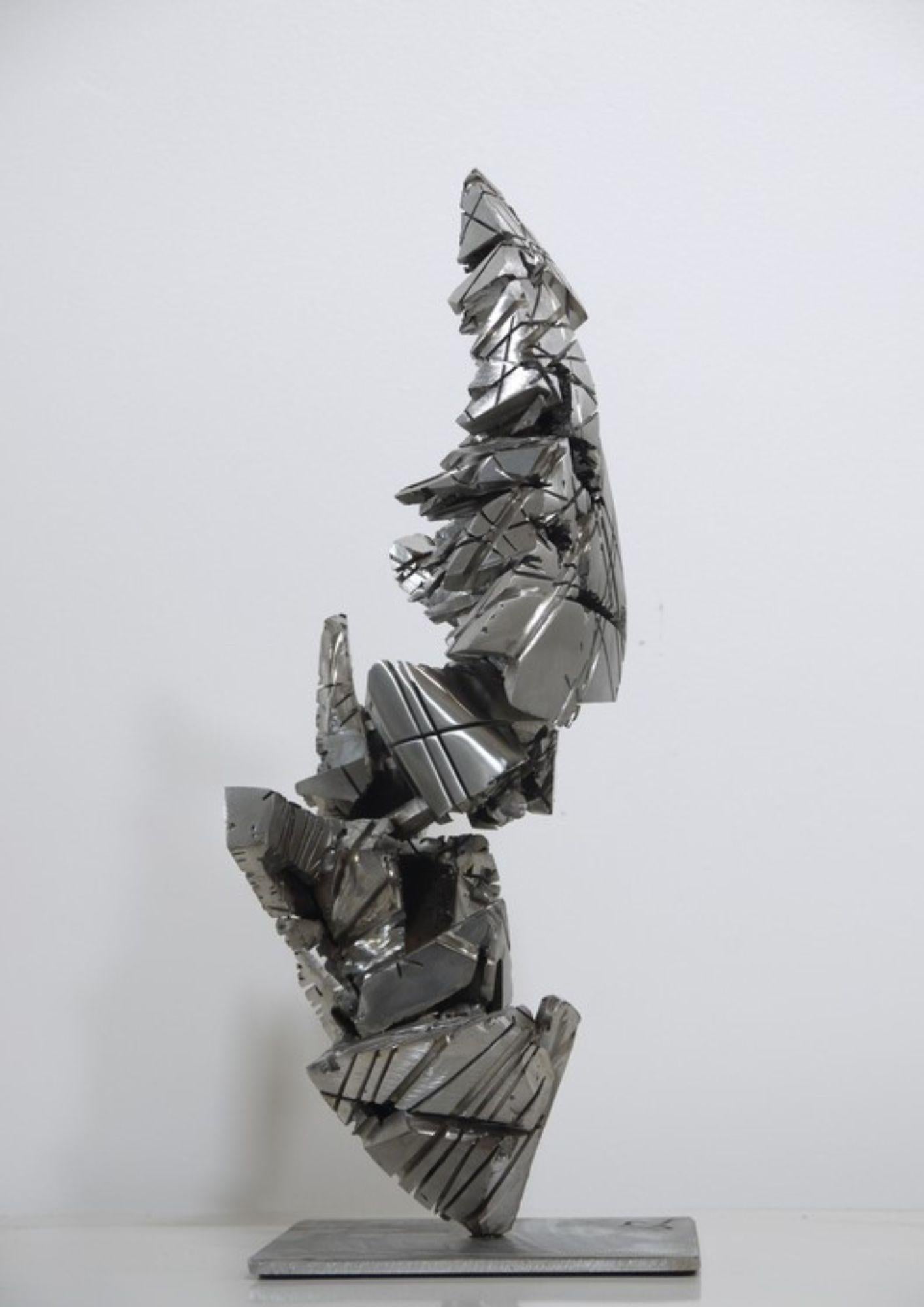Spyrite 8 - Abstrait Sculpture par Guillaume Roche