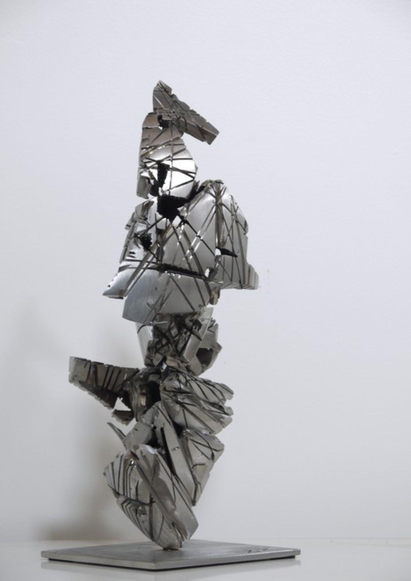 
La sculpture Steele 8 est une œuvre artistique en acier inoxydable qui incarne le concept de souffle de feu et d'énergie de fusion. Les lignes et les formes harmonieuses de la sculpture évoquent l'esthétique du minéral ferreux, offrant une vision