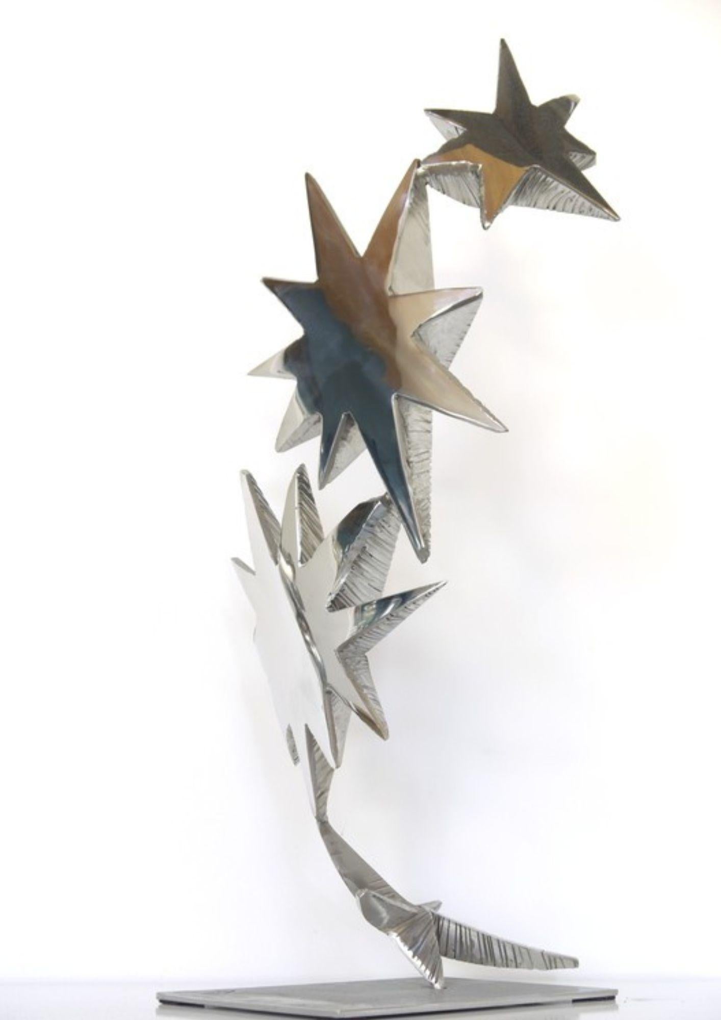 Guillaume Roche Abstract Sculpture - Star 2
