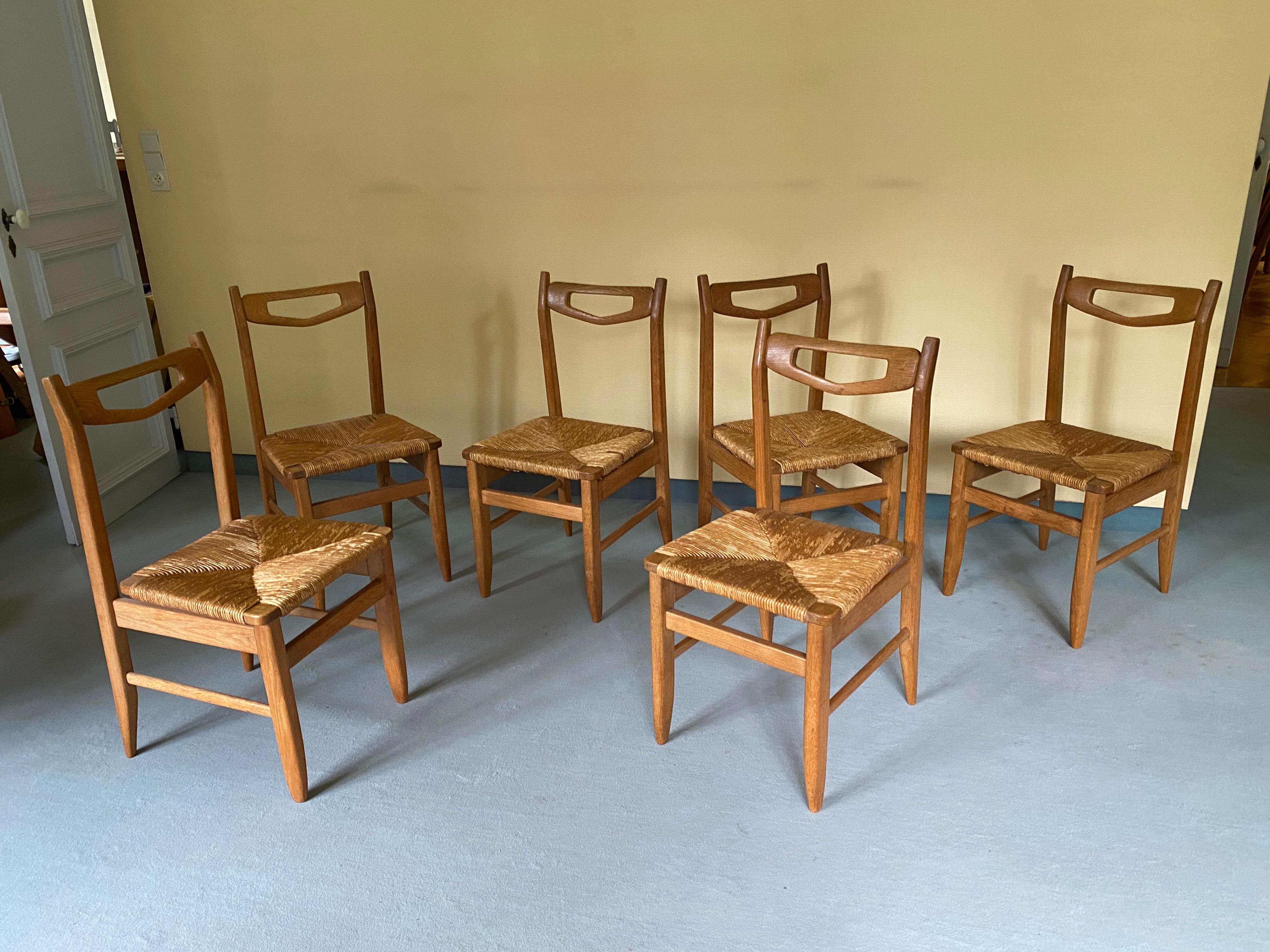 Guillerme et Chambron, Juego de 6 sillas de roble, Edición Votre Maison, hacia 1960 Francés en venta