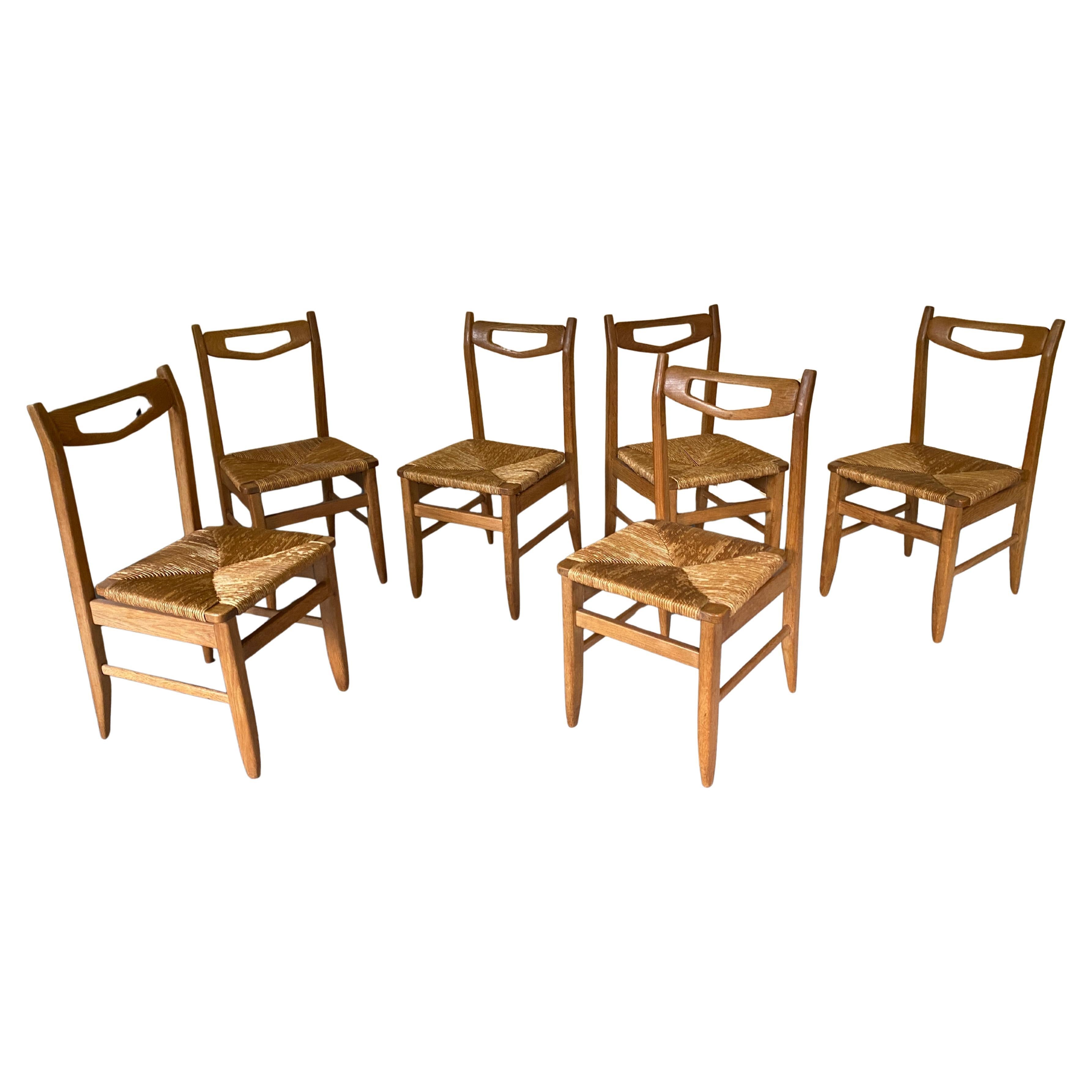 Guillerme et Chambron, Ensemble de 6 chaises en Oak, Edition Votre Maison, circa 1960