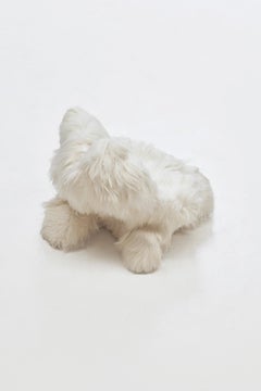 Guillermo Santomá Poltrona contemporanea "Yeti" Pelliccia di pecora tibetana Barcellona, 2018