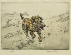Gun Dog Etching, Henry Wilkinson