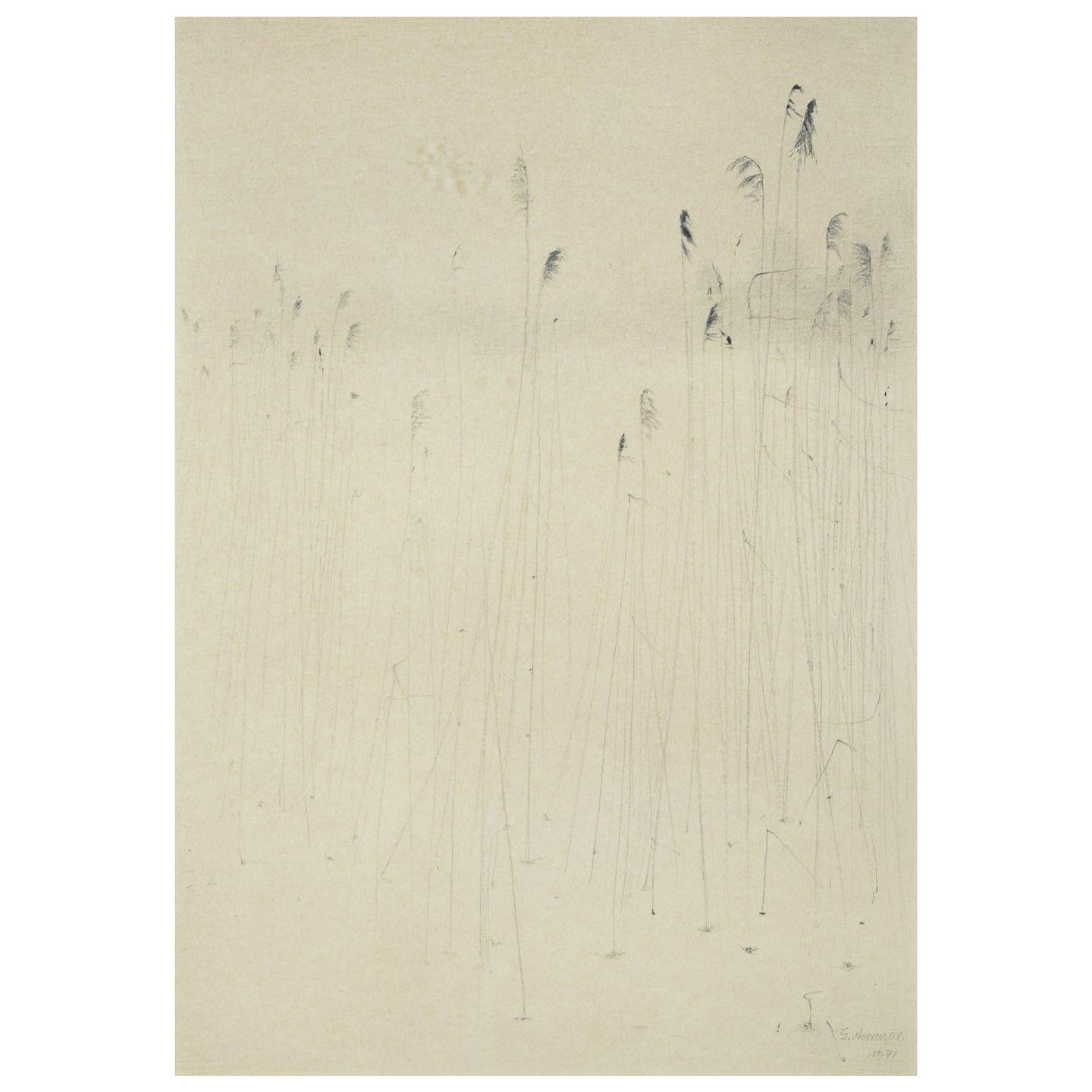 Gunnar Norrman, Suecia. "Vinterstrån", 1971. Lápiz sobre papel. en venta