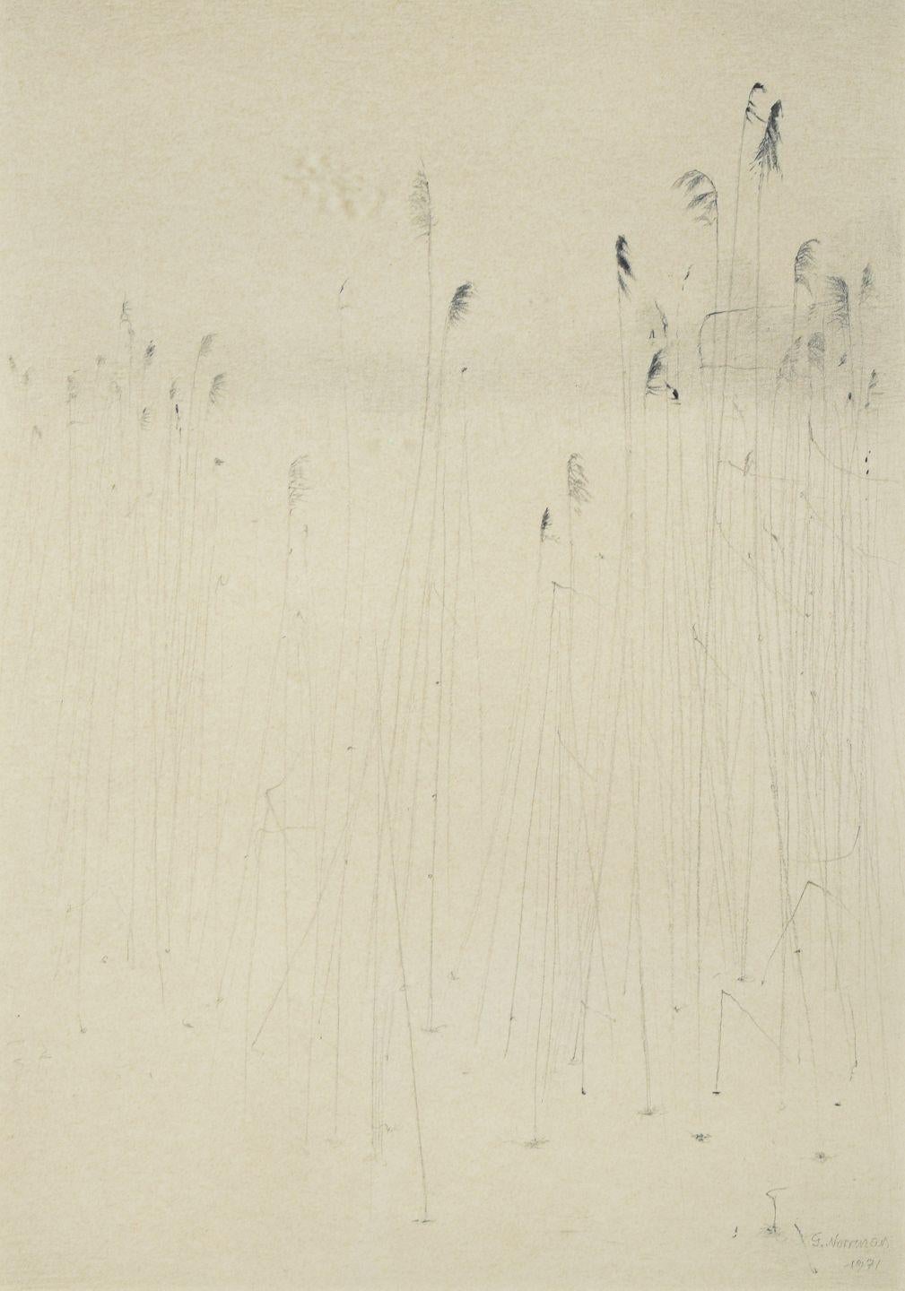 Gunnar Norrman, Sweden. “Vinterstrån”, 1971. Pencil on paper. For Sale