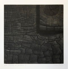 Negro y Rojo, Aguatinta y Mezzotinta de Motivos Abstractos y Madera Carbonizada