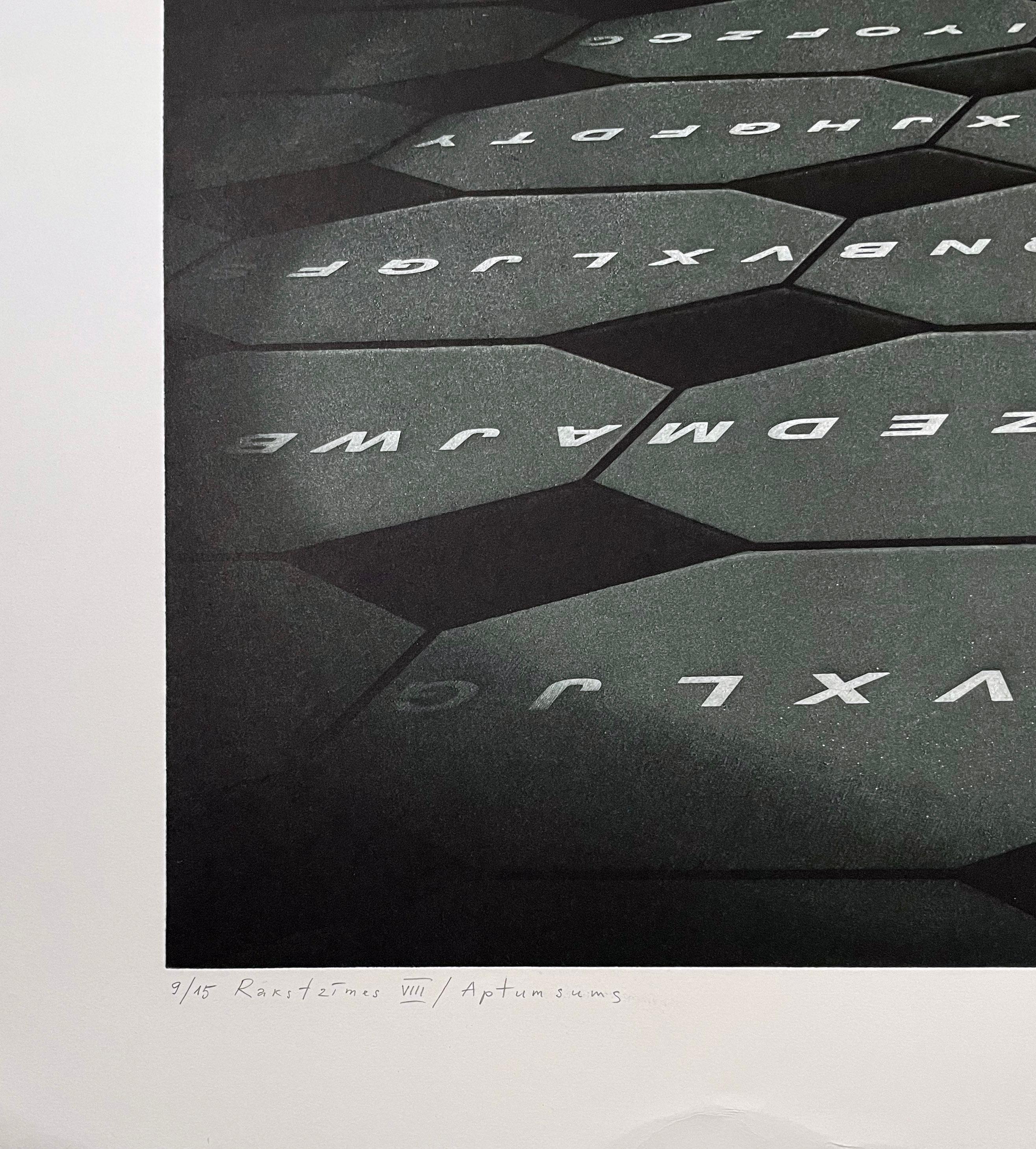 Characters VIII / Eclipse - Black Print by Guntars Sietins
