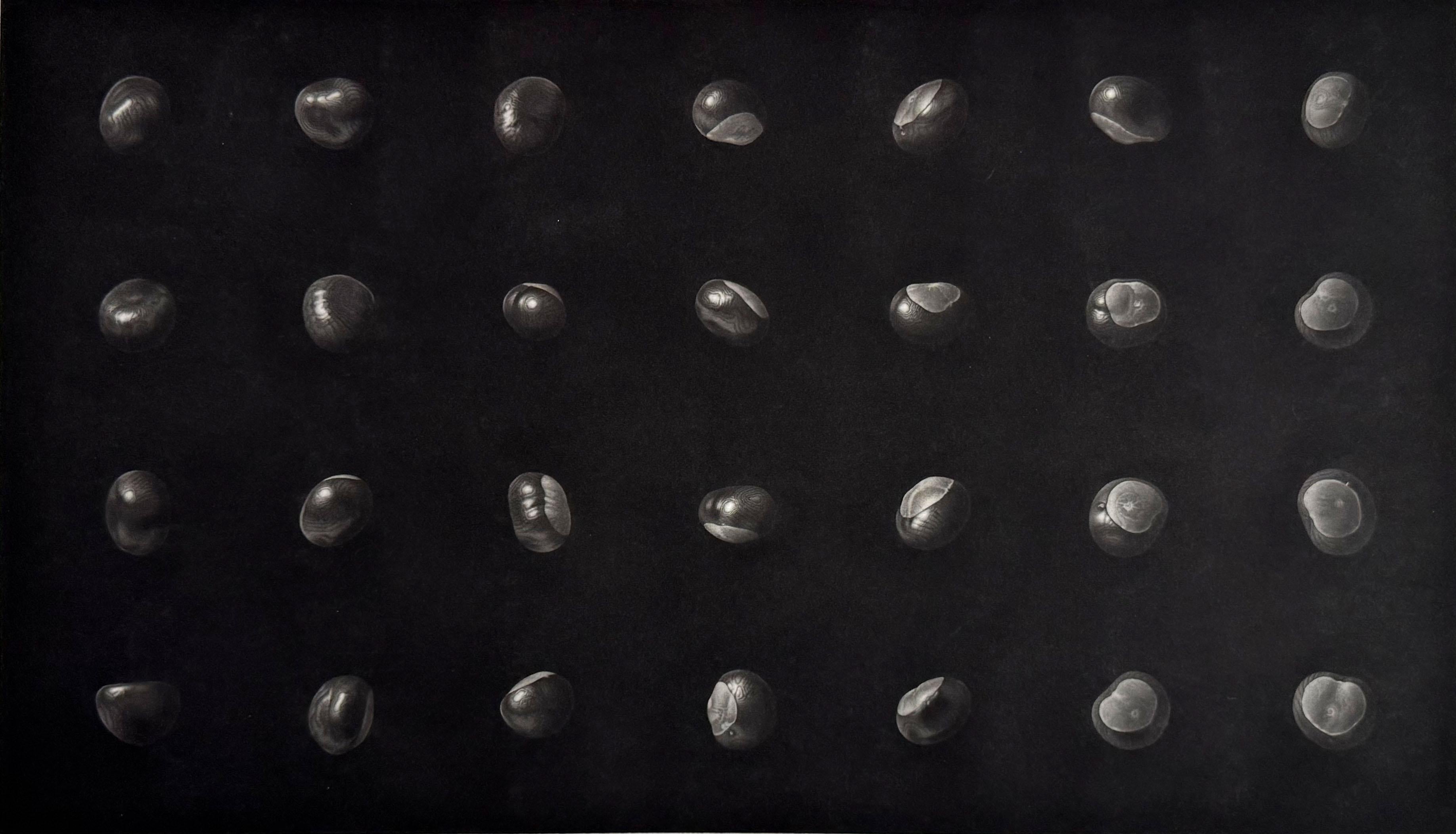 Chestnuts V, par Guntars Sietins