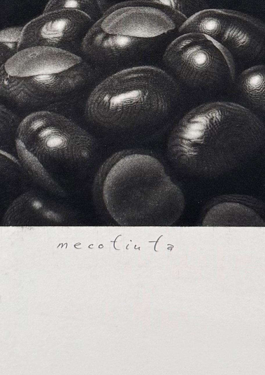 Kastani III (Castañas) - Still-Life Print Negro de Guntars Sietins