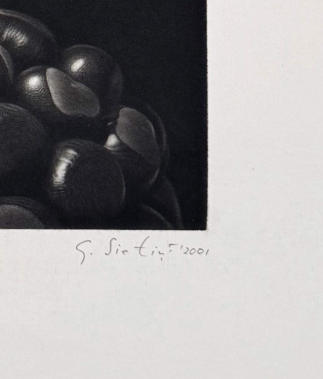 Composición surrealista de Kastani (castañas) con una rama de árbol flotante suspendida encima. Las castañas son un tema habitual para Sietins, y el nivel de detalle que crea en sus mezzotintas es casi fotográfico.

Los grabados de Guntars Sietins