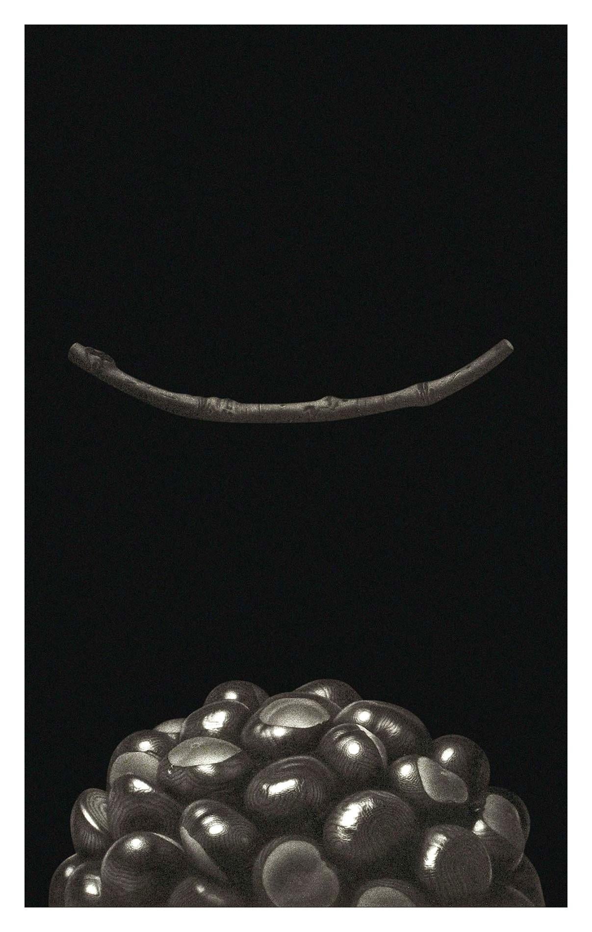 Still-Life Print de Guntars Sietins - Kastani III (Castañas)