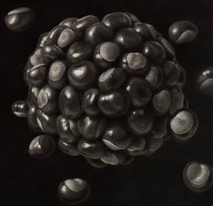 Kastani IV (Chestnuts) by Guntars Sietins