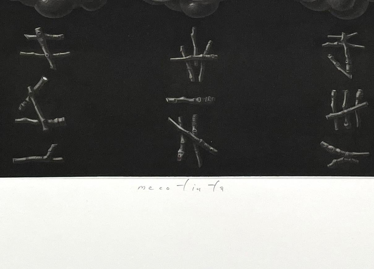 Kastani VII (Castañas) - Still-Life Print Negro de Guntars Sietins
