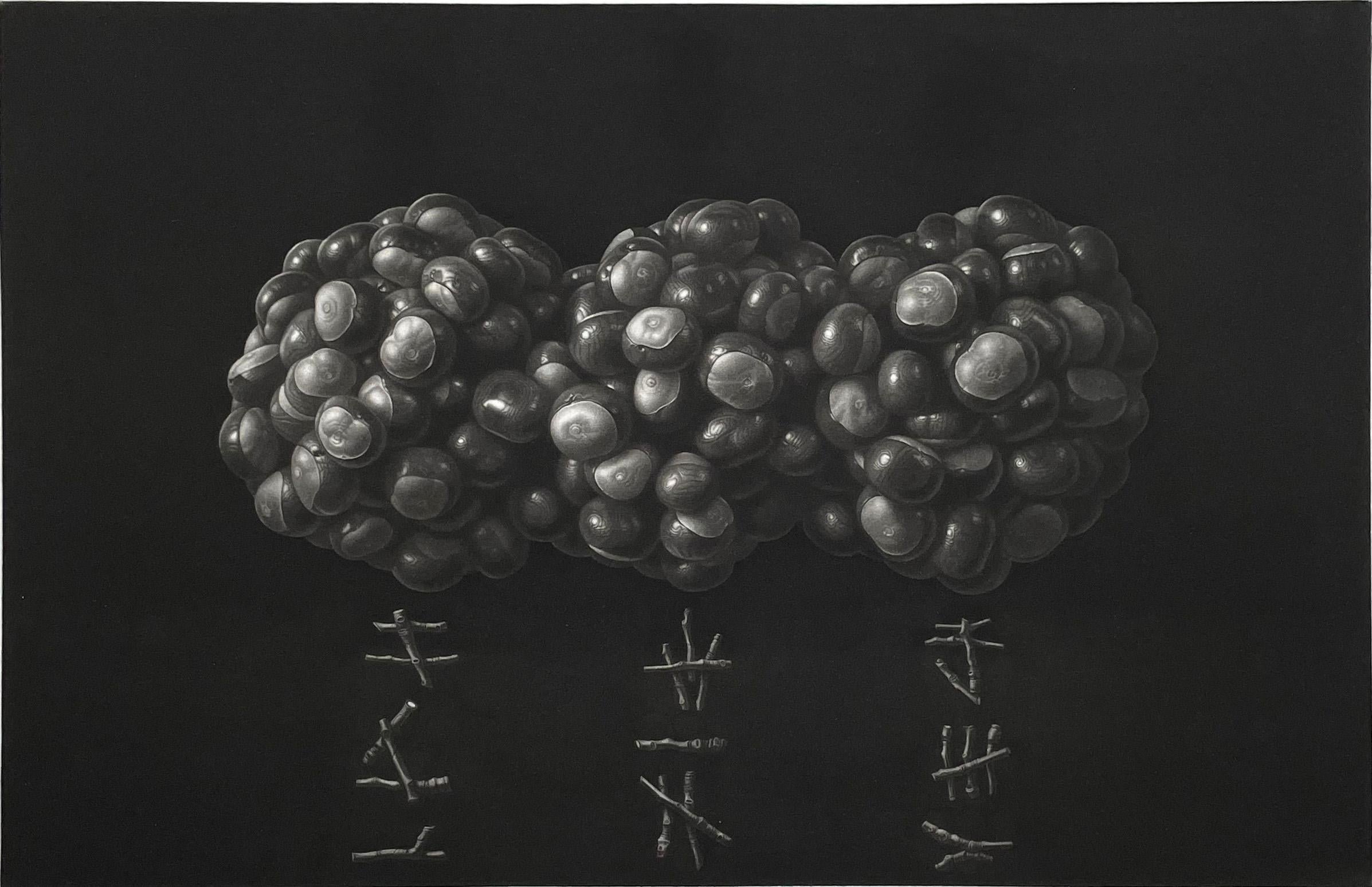 Still-Life Print de Guntars Sietins - Kastani VII (Castañas)