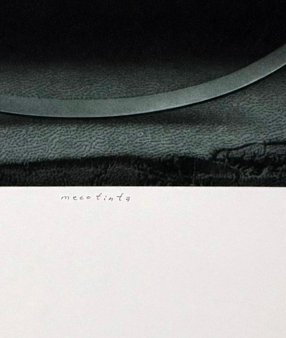 Le illusioni e i riflessi nelle stampe di Sietens spesso portano M.C. I. M. Mi viene in mente Escher, ma le sue stampe hanno un'impronta tutta loro. Gli elementi delle sue stampe sembrano sfidare la gravità. Firmato, intitolato e numerato
