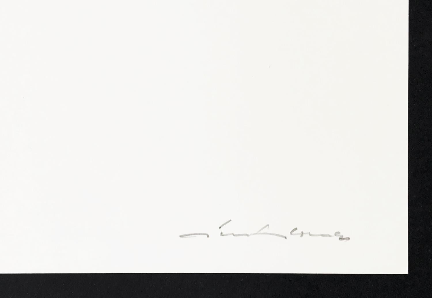 Günter Fruhtrunk - Zwischen Grün, 1970 Screenprint, Op Art, Signed Print - Black Abstract Print by Gunter Fruhtrunk