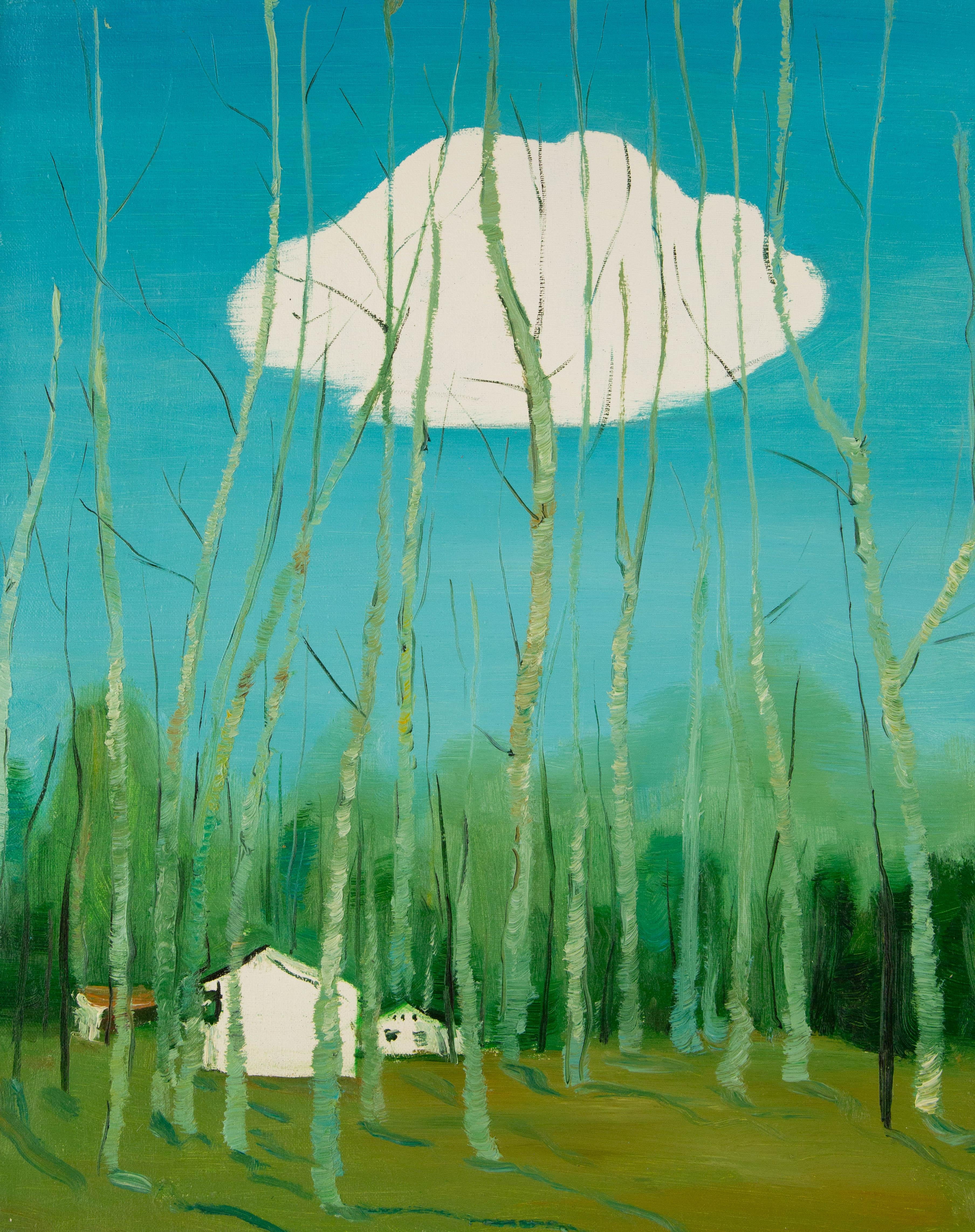  Titel: Kleine weiße Wolke
 Medium: Öl auf Leinwand
 Größe: 19,5 x 15,5 Zoll
 Rahmen: Einrahmungsmöglichkeiten vorhanden!
 Zustand: Das Gemälde scheint in ausgezeichnetem Zustand zu sein.
 Hinweis: Dieses Gemälde ist nicht aufgespannt.
 Jahr: 2000
