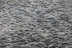 Guoxian Yu Zeitgenössisches Original Öl auf Leinwand "Wasser, Eins"
