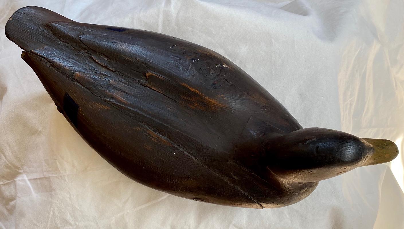 Gus Wilson Turned Head Black Duck Decoy, Maine, circa 1930s 2