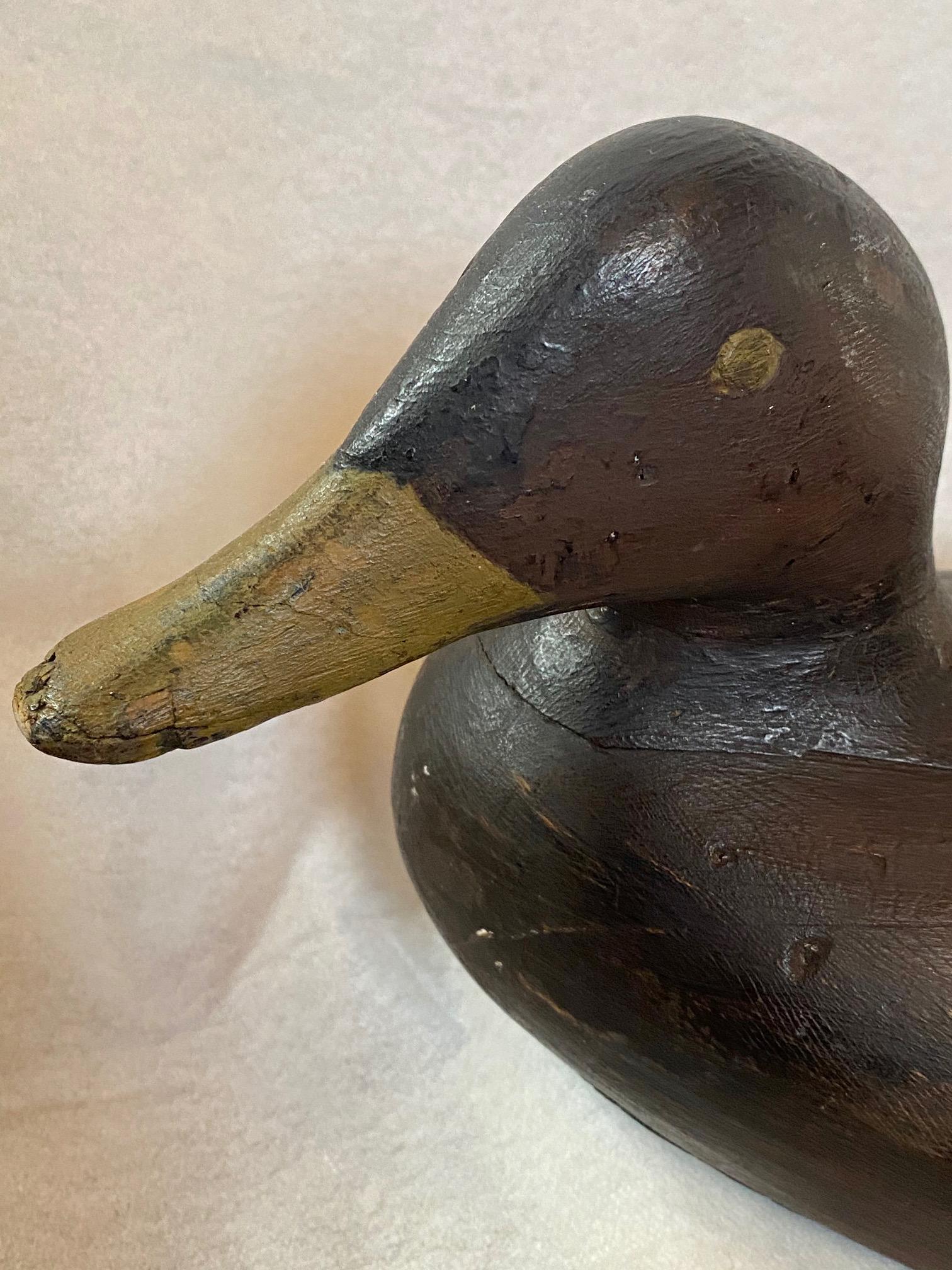 Classic Gus Wilson Turned Head Black Duck Decoy, South Portland Maine, circa 1930s, beautiful rough hewn gunning decoy by Maine's great Augustus Aaron Wilson (1864 - 1950), having the head set at alert angle turned strongly to left side, slightly