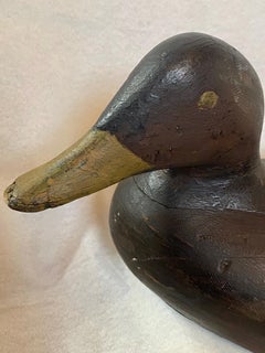 Gus Wilson Turned Head Black Duck Decoy, Maine, circa 1930s
