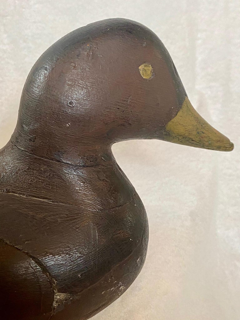 Gus Wilson Turned Head Black Duck Decoy, Maine, circa 1930s For Sale at