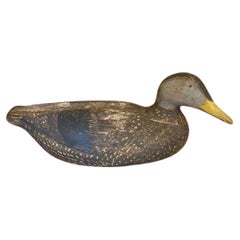 Gus Wilson Turned Head Black Duck Decoy, South Portland Maine, circa 1930s