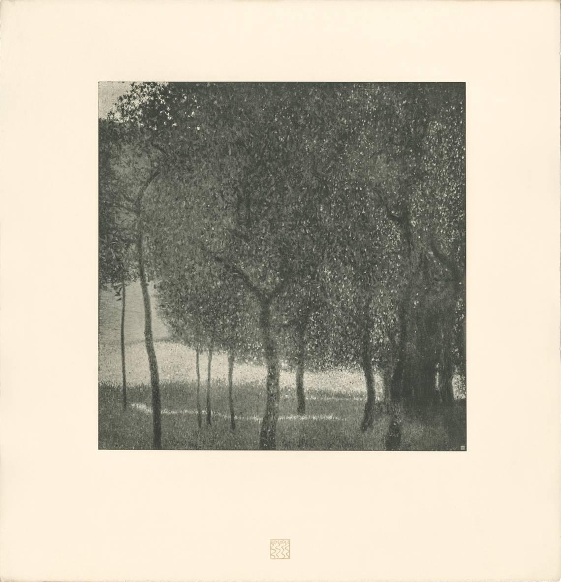 Gustav Klimt & K.K. Hof-und Staatsdruckerei Landscape Print – H.O. Miethke Das Werk folio „Fruit Trees“ collotype-Druck