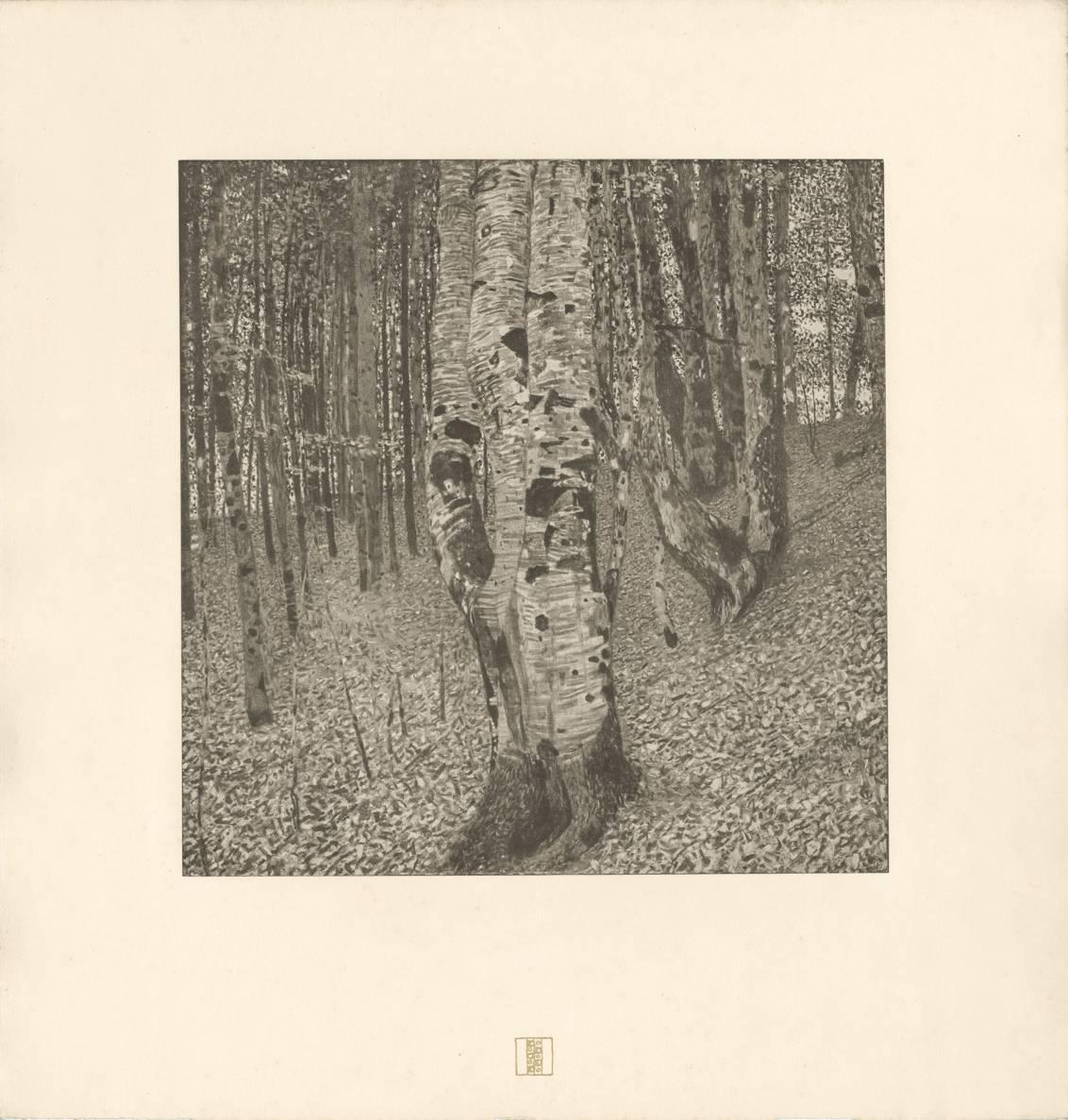 Gustav Klimt & K.K. Hof-und Staatsdruckerei Landscape Print – H.O. Miethke Das Werk Folio „ Buchenwald II“ collotype-Druck