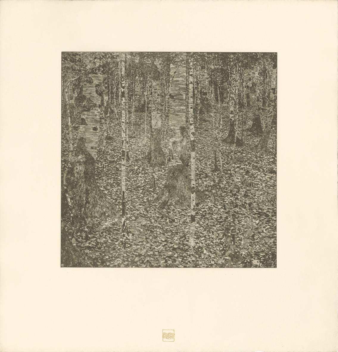 Gustav Klimt & K.K. Hof-und Staatsdruckerei Landscape Print - H.O. Miethke Das Werk folio "Birch Forest I" collotype print