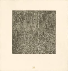H.O. Miethke Das Werk folio "Birch Forest I" collotype print
