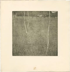 H.O. Miethke Das Werk folio „Farmhouse With Birch Trees“ collotype-Druck