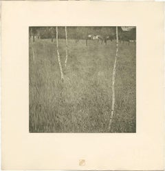 H.O. Impression collotype Farmhouse With Birch Trees de Miethke Das Werk