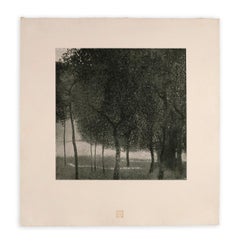 Fruit Trees by Gustav Klimt, Das Werk lifetime landscape collotype, 1908-1912