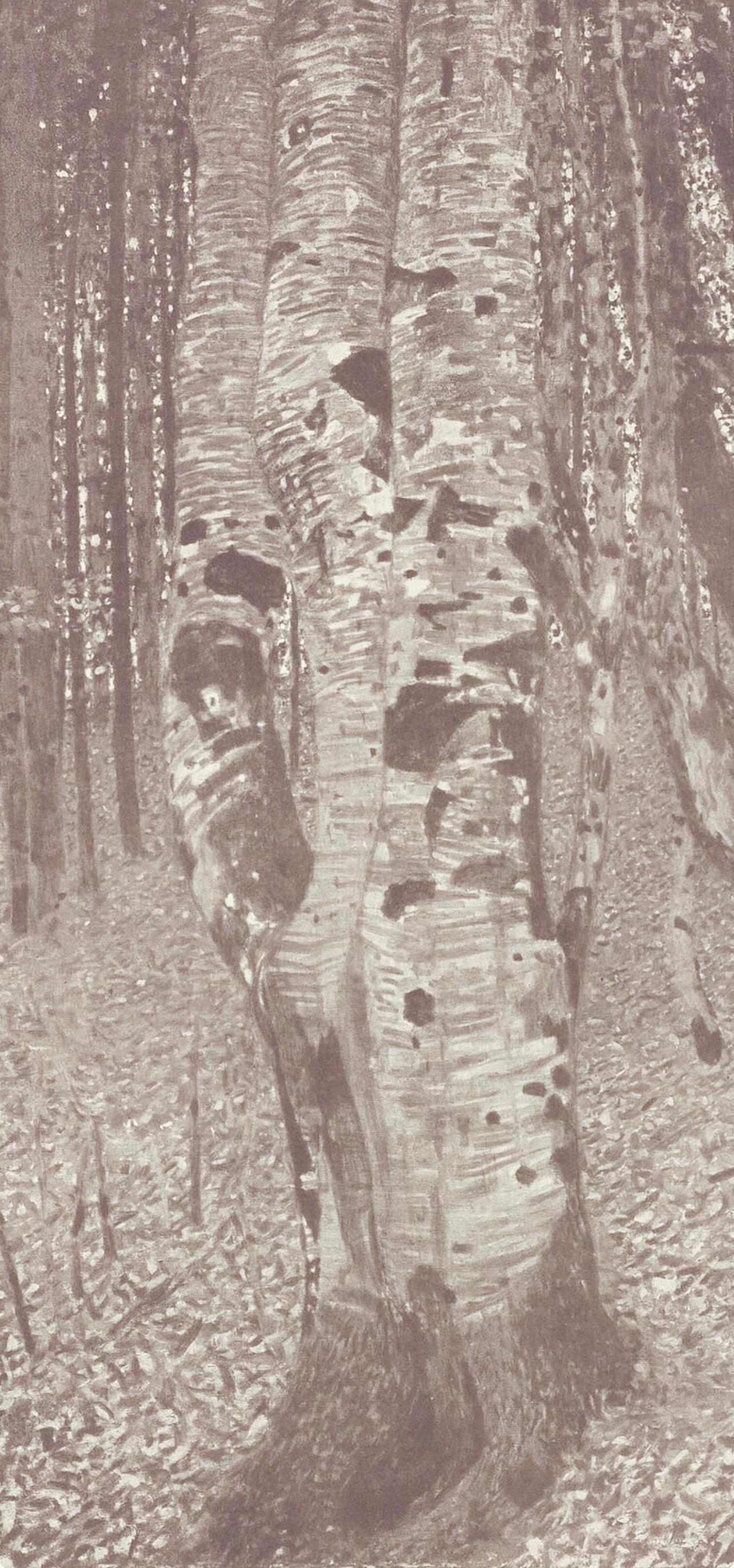 Gustav Klimt, Beech Forest, from The Work of Gustav Klimt, 1918 (after) For Sale 1