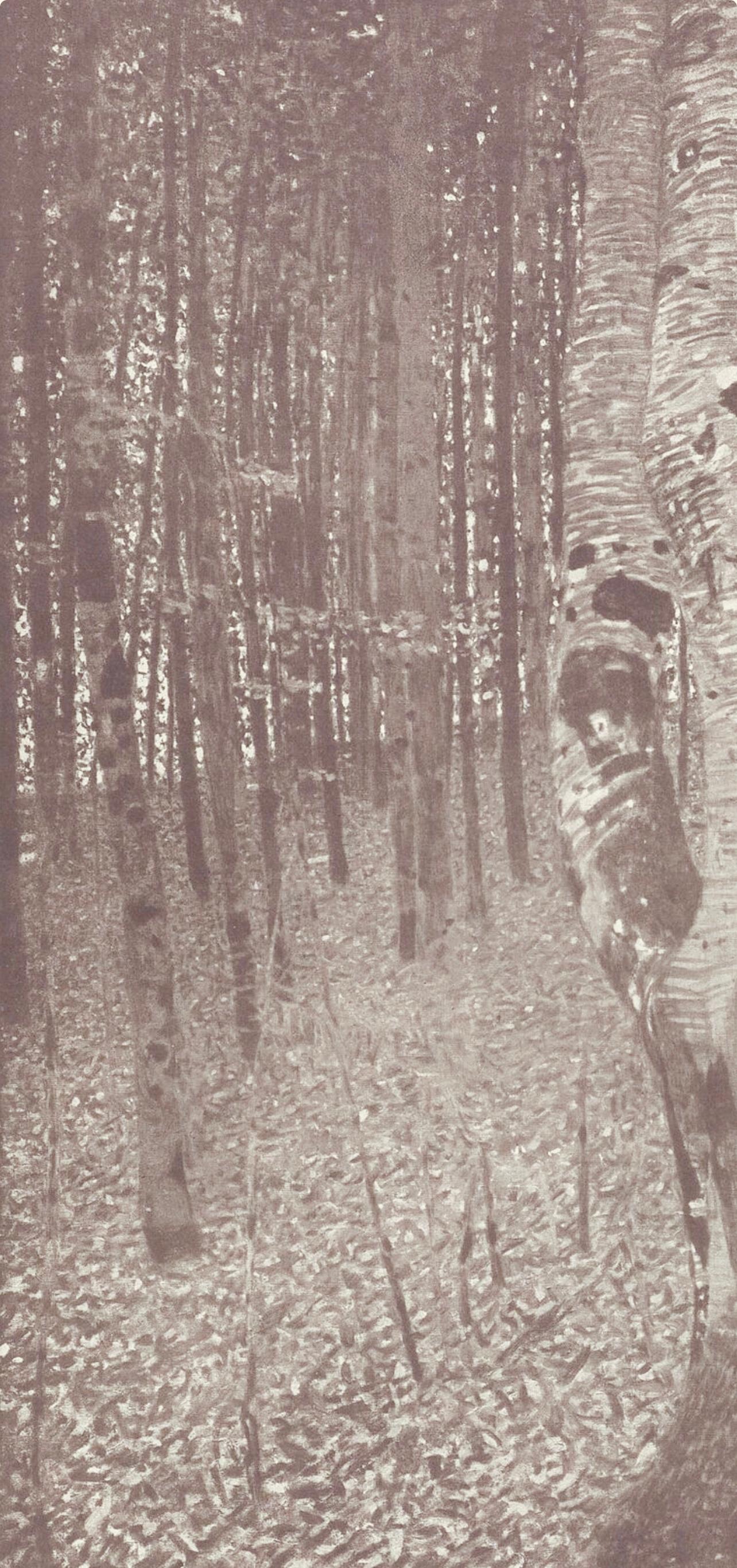 Gustav Klimt, Beech Forest, from The Work of Gustav Klimt, 1918 (after) For Sale 2