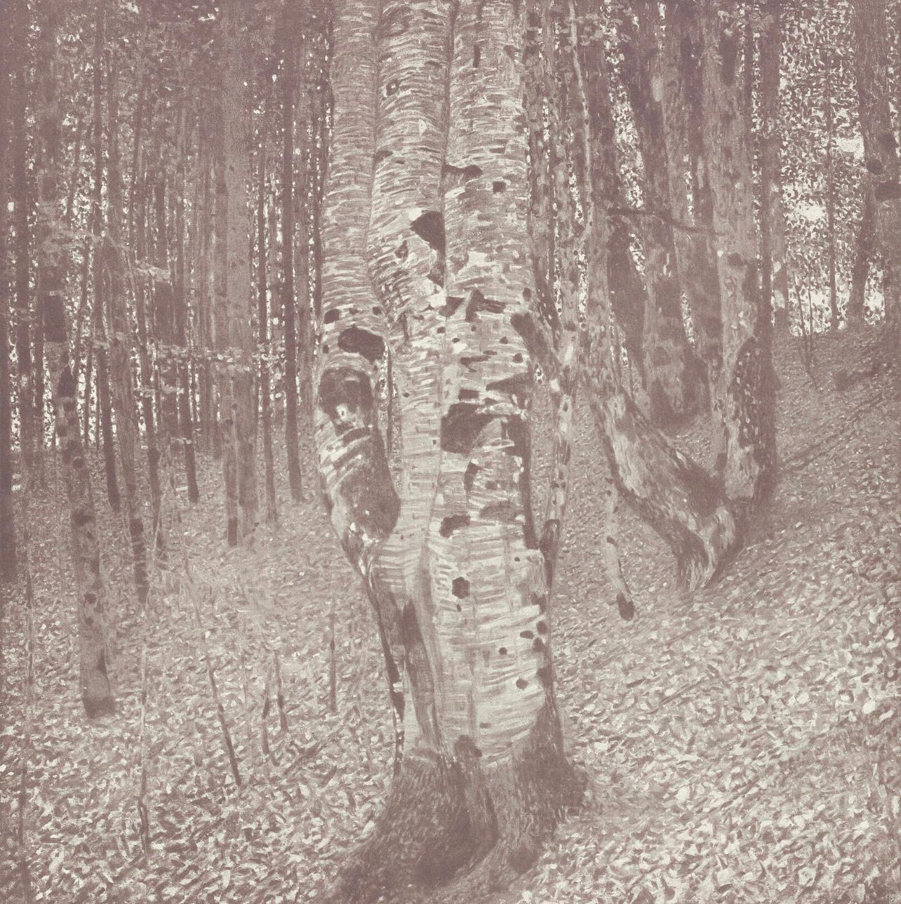 Gustav Klimt, Beech Forest, from The Work of Gustav Klimt, 1918 (after)