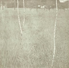 Gustav Klimt, Bauernhaus mit Birken, Das Werk von Gustav Klimt, 1918 (after) Gustav Klimt