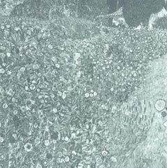 Gustav Klimt, Paysage italien, 1931 (after)