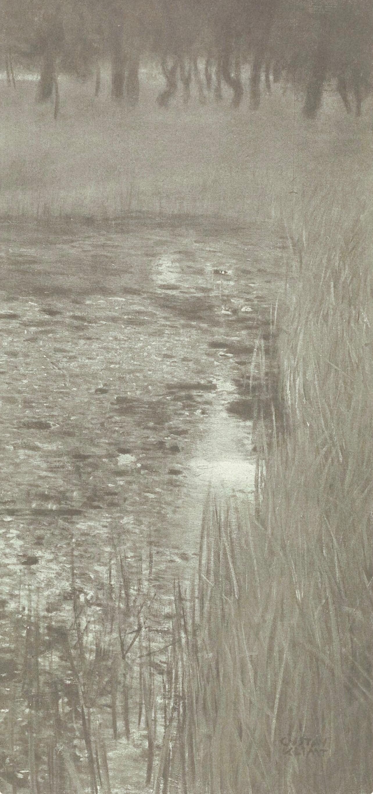Gustav Klimt, The Marsh, from The Work of Gustav Klimt, 1918 (after) For Sale 3