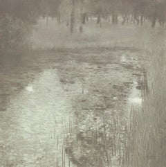 Gustav Klimt, Der Sumpf, aus Das Werk von Gustav Klimt, 1918 (nach) Gustav Klimt
