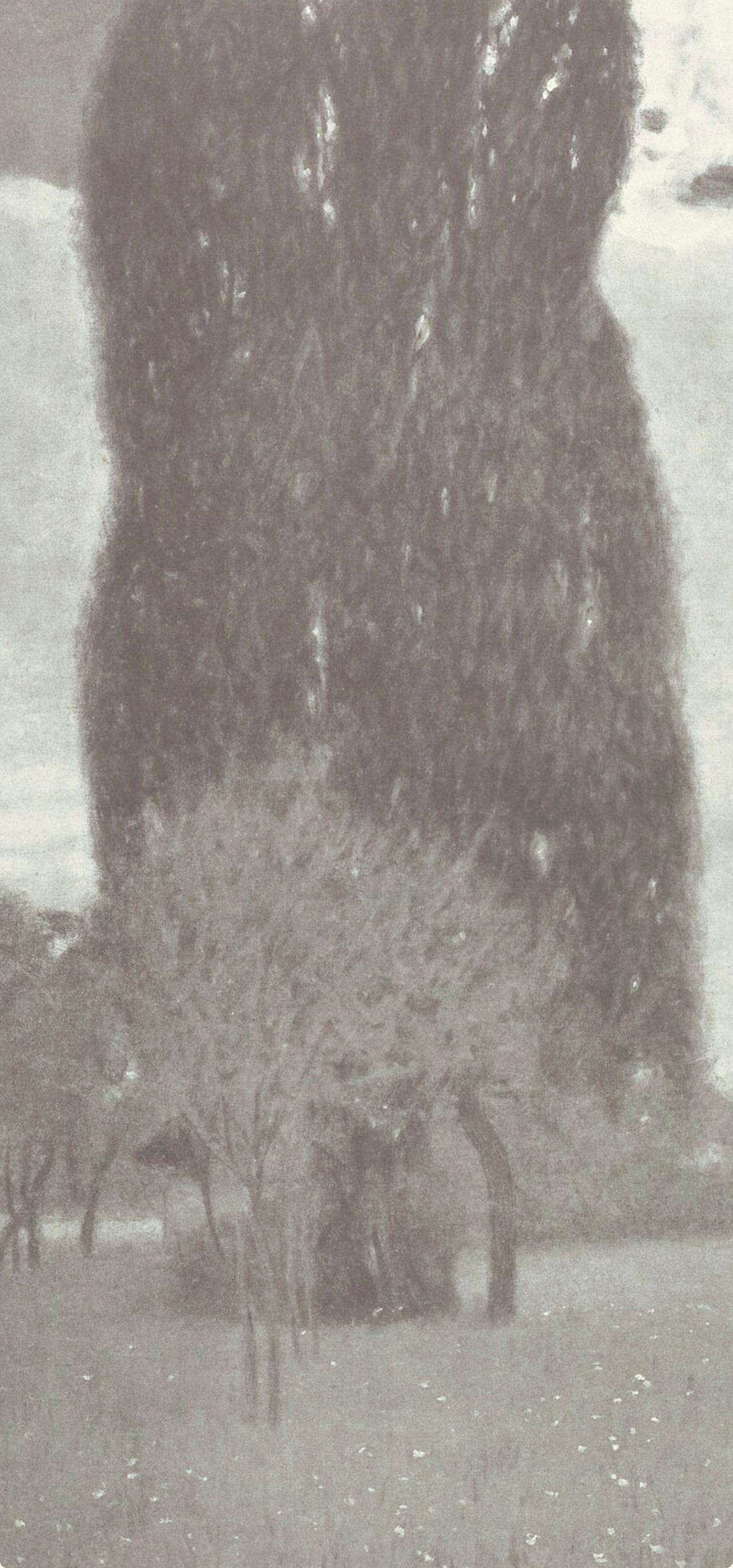 Gustav Klimt, The Tall Poplar, from The Work of Gustav Klimt, 1918 (after) For Sale 1