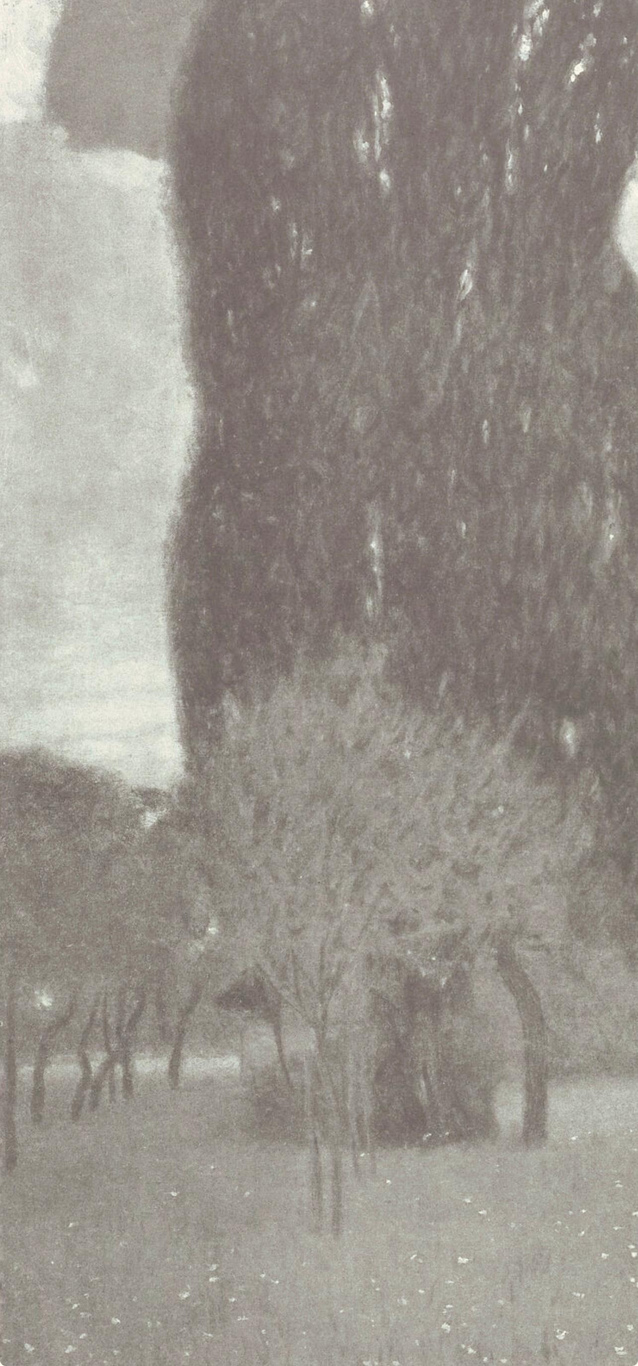 Gustav Klimt, The Tall Poplar, from The Work of Gustav Klimt, 1918 (after) For Sale 2