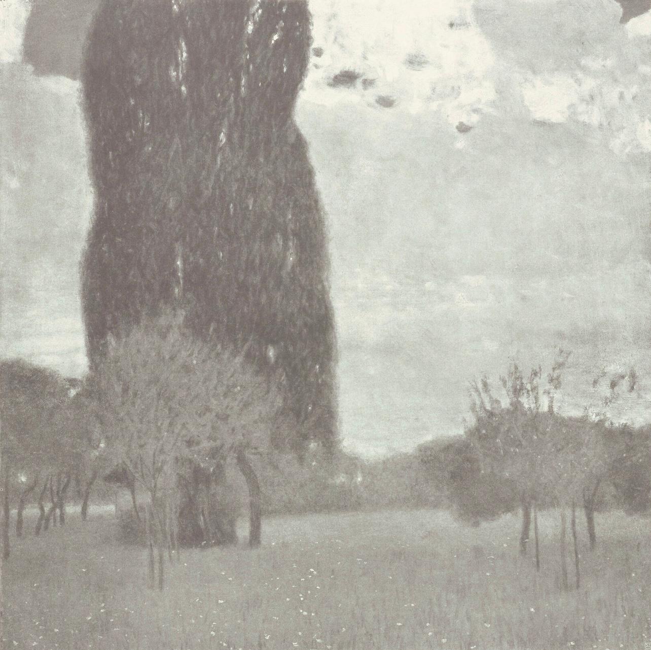 Gustav Klimt, The Tall Poplar, from The Work of Gustav Klimt, 1918 (after)