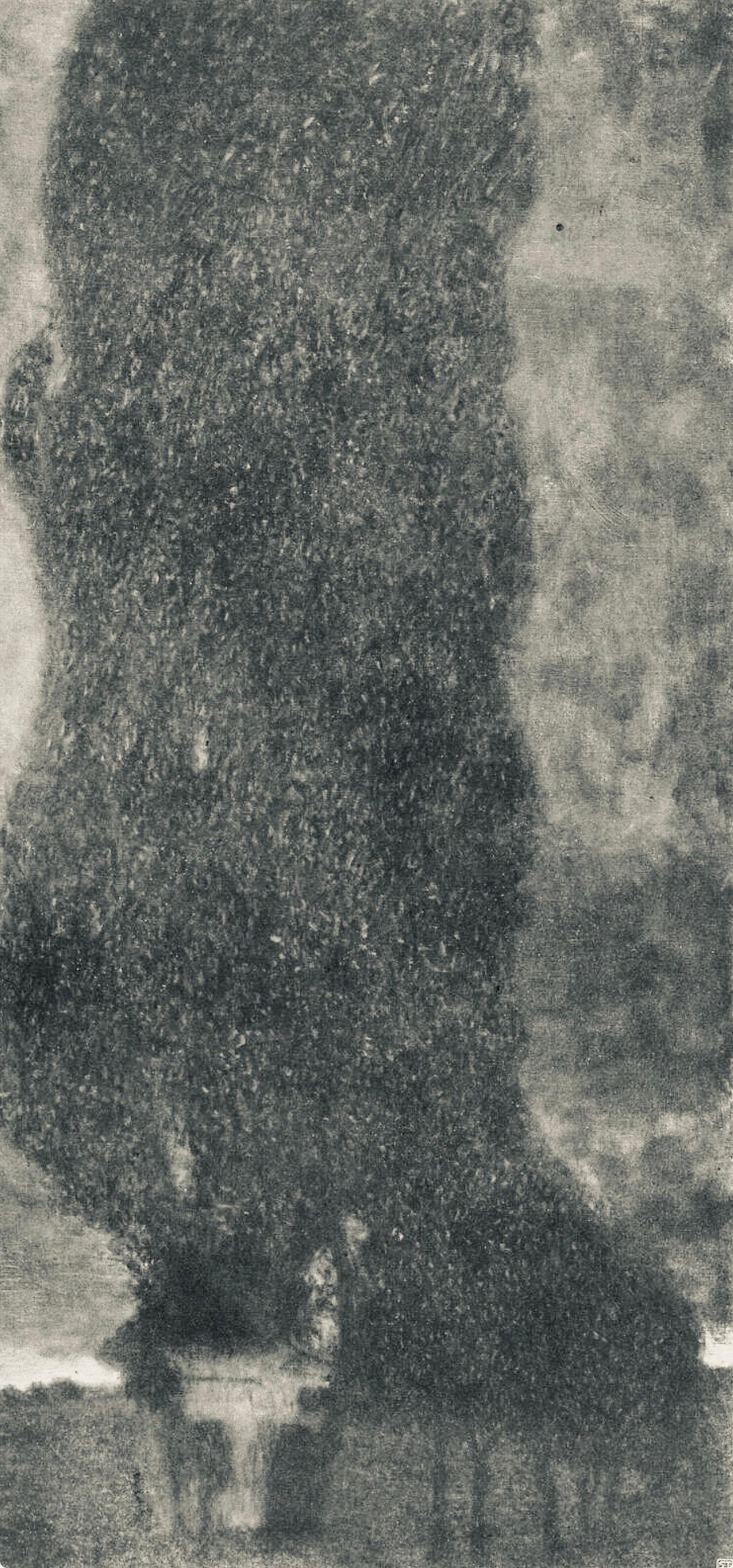 Gustav Klimt, Thunderstorm, from The Work of Gustav Klimt, 1918 (after) For Sale 1