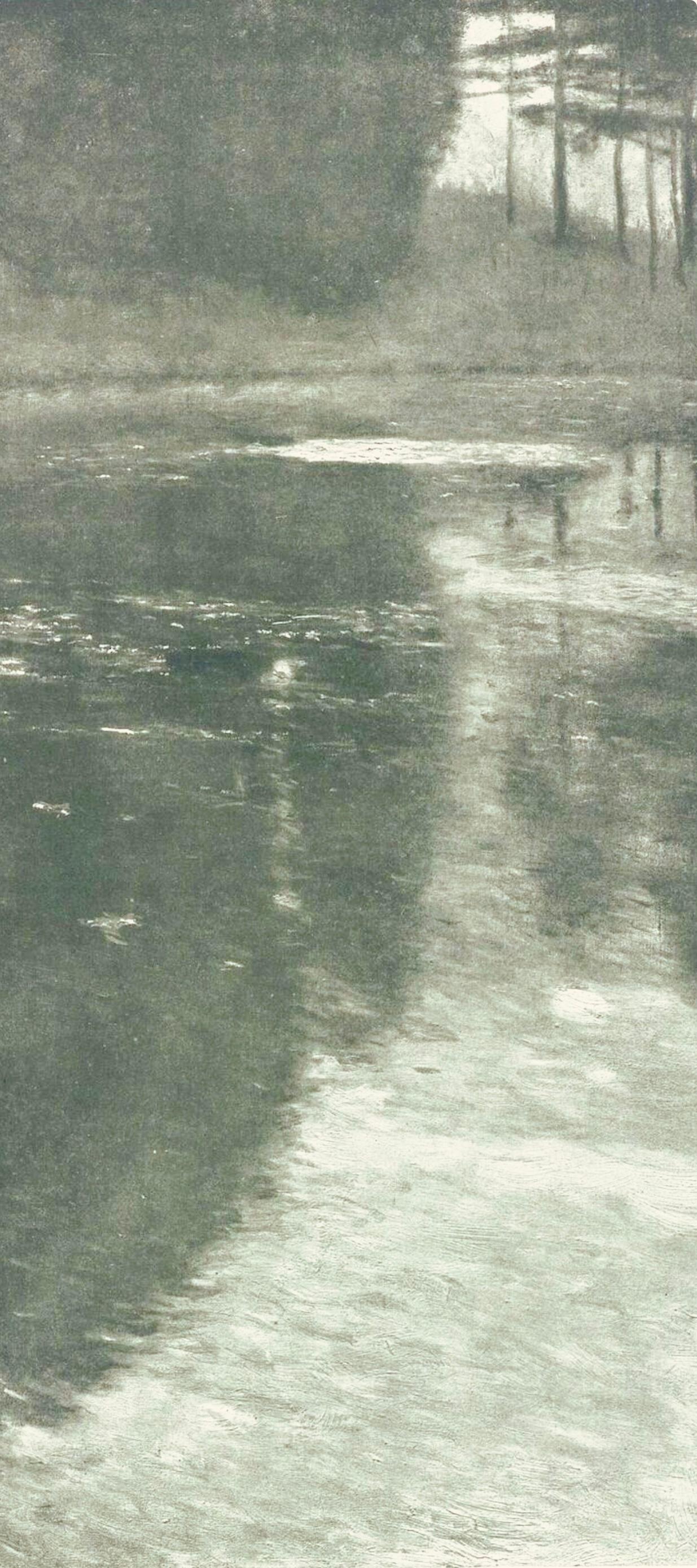 Klimt, Stiller Weiher, Das Werk von Gustav Klimt (after) For Sale 2